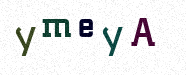 Visual Confirmation Security Code