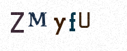 Visual Bestätigung Security Code