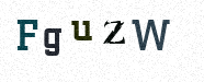 Visual Confirmation Security Code