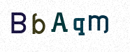 Visual Confirmation Security Code